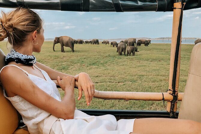 Yala Safari Day Trip from Mirissa/Weligama/Galle/Tangalle areas - Frequently Asked Questions