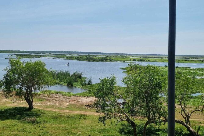 Yala safari from Galle / Unawatuna / Waligama / MIrissa / Matara - Key Points