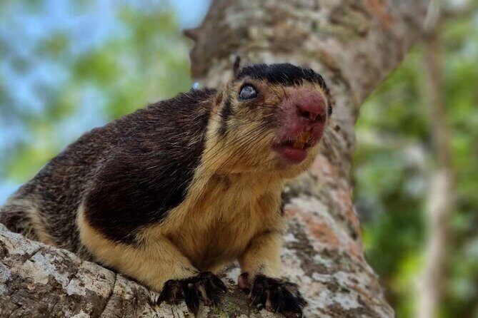 Yala safari from Galle / Unawatuna / Waligama / MIrissa / Matara - Final Thoughts