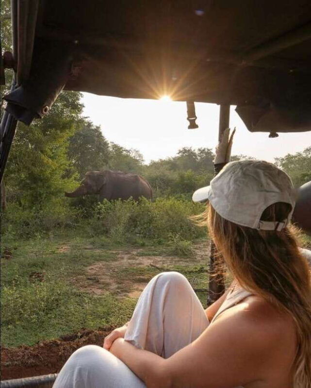 yala-safari-morning-or-afternoon-safari-tour-5-h