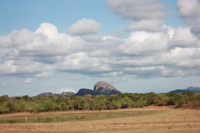 Yala safari Tours Morning /Afternoon /Fullday - What Could Be Improved?