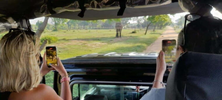 yala-safari-w-tush-pick-up-from-ella-drop-off-at-mirissa