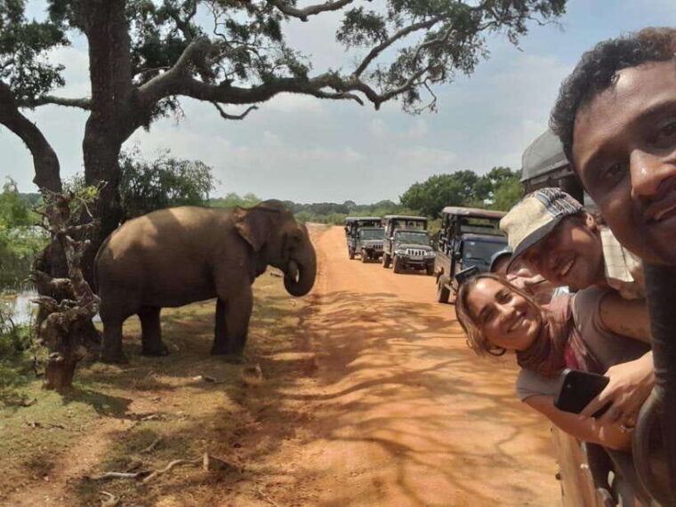 yala-safari-w-tush-with-pickup-from-ella-drop-at-galle