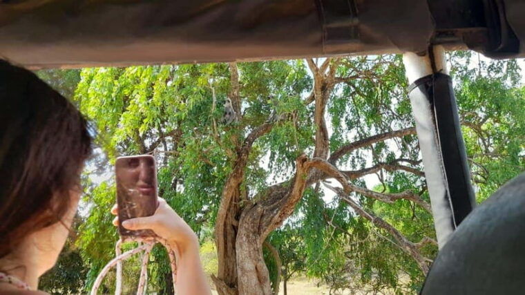 yala-safari-w-tush-with-pickup-from-ella-drop-at-tangalle