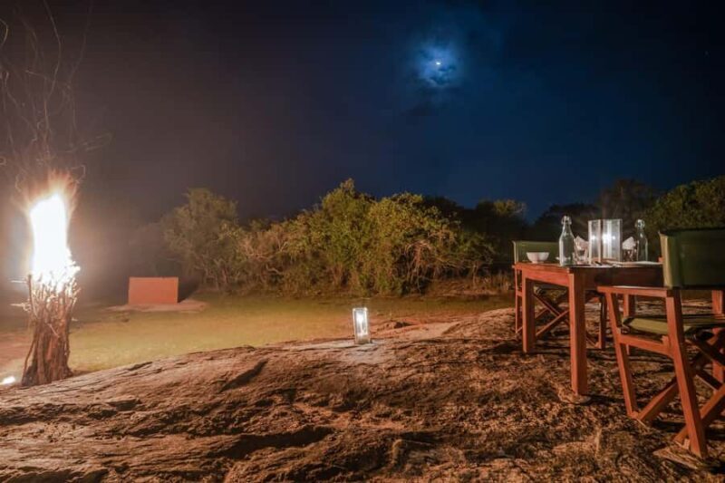 Yala: Stargazing Jungle BBQ Night - Final Thoughts
