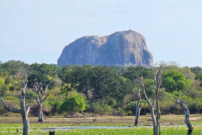 Yala sunrise half day by NPA Leopard Safari - The Sum Up: Is the Yala Sunrise Safari Worth It?