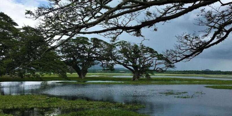 yala-sunset-tour-by-boat-beach-bbq-dinner