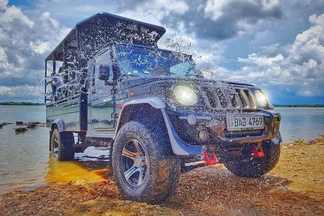 Yala Wild Adventure Safari - Key Points