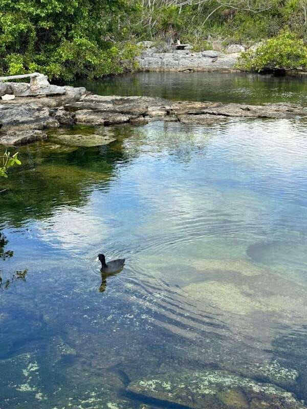 yalku-akumal-snorkeling-muuch-kay-ecopark