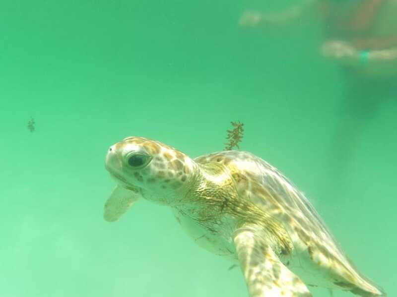 yalku-akumal-snorkeling-muuch-kay-ecopark