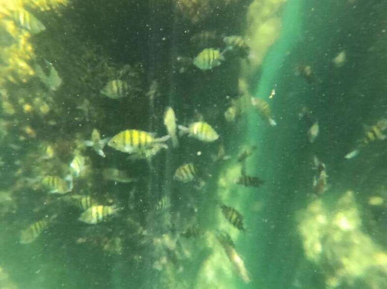 yalku-akumal-snorkeling-muuch-kay-ecopark