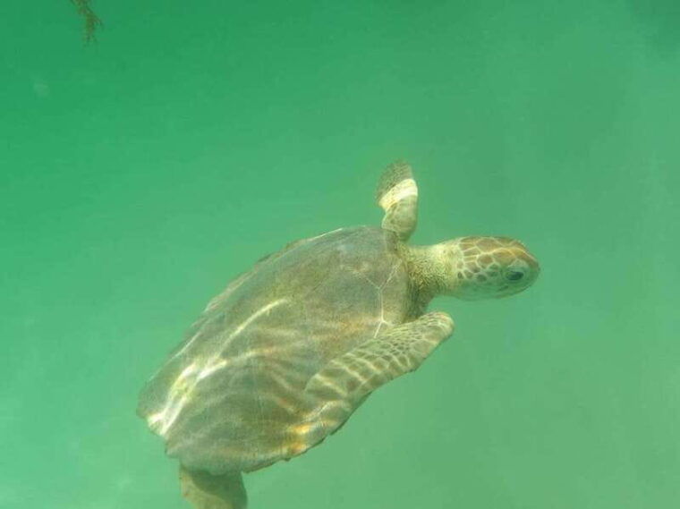 yalku-akumal-snorkeling-muuch-kay-ecopark