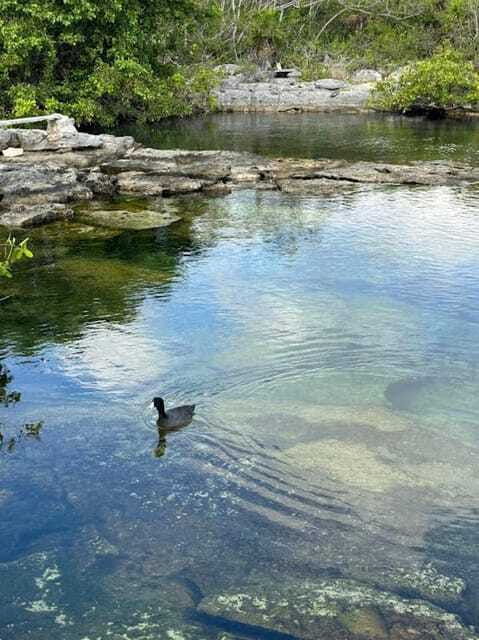 yalku-akumal-snorkeling-muuch-kay-ecopark