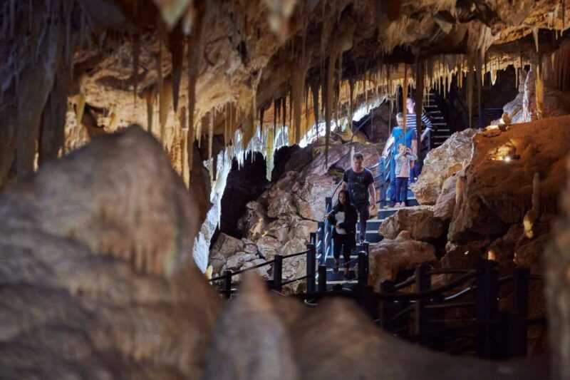 Yallingup: Ngilgi Cave Ancient Lands Experience - Key Points