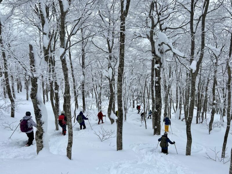 yamagata-icefall-ice-monster-snow-trekking-with-local-guide