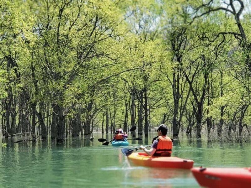 Yamagata: Private Canoe Tour in Submerged Forest - Yamagata: Private Canoe Tour in Submerged Forest