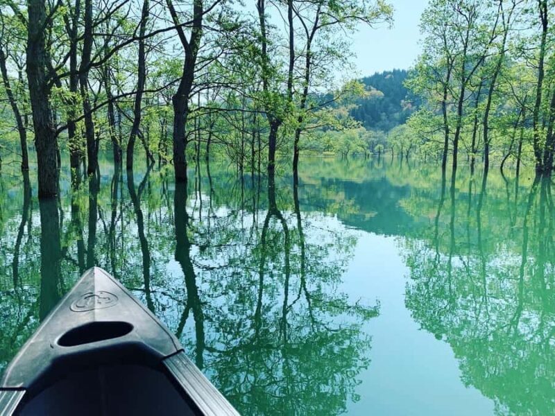 Yamagata: Private Canoe Tour in Submerged Forest - FAQ