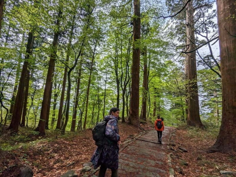 Yamagata / Yamadera Private Trip with Licensed Guide - Exploring Yamagata with a Private Guide: What You Can Expect