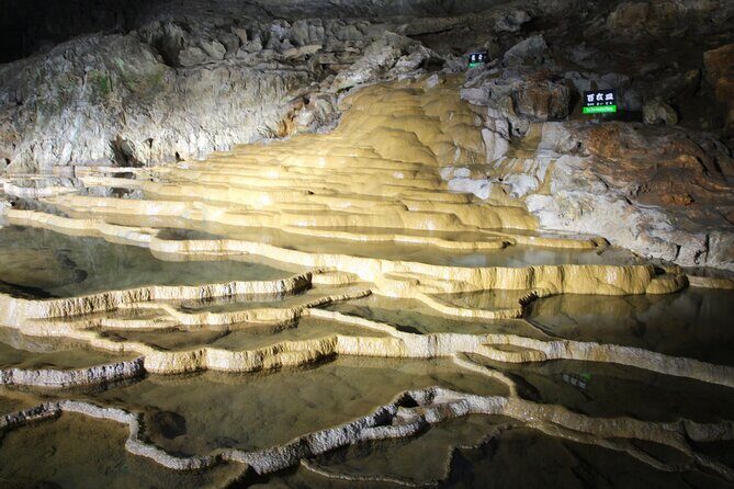 Yamaguchi 4 Highlights & Karato Market 1Day Tour from Fukuoka - Key Points