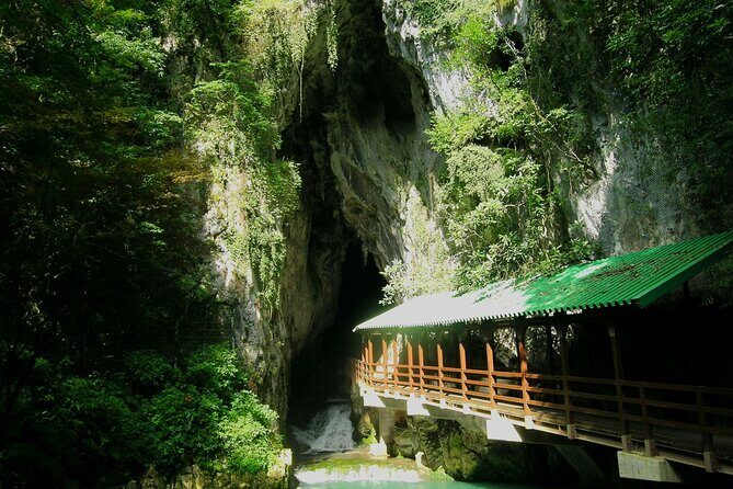 Yamaguchi 4 Highlights & Karato Market 1Day Tour from Fukuoka - Who Would Love This Tour?