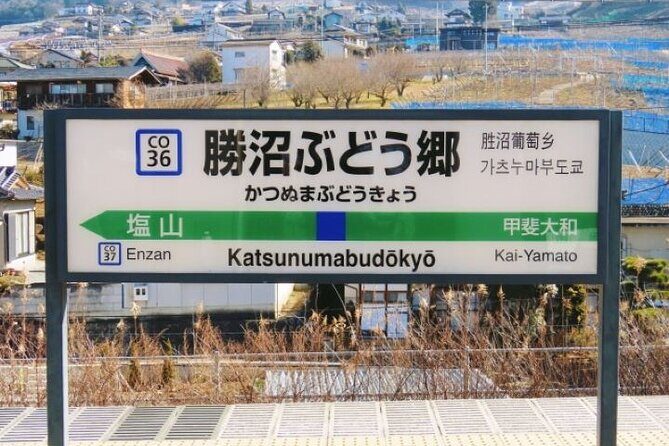 Yamanashi Koshu Winery Private Tour with Licensed Guide & Vehicle - Who Should Consider This Tour?