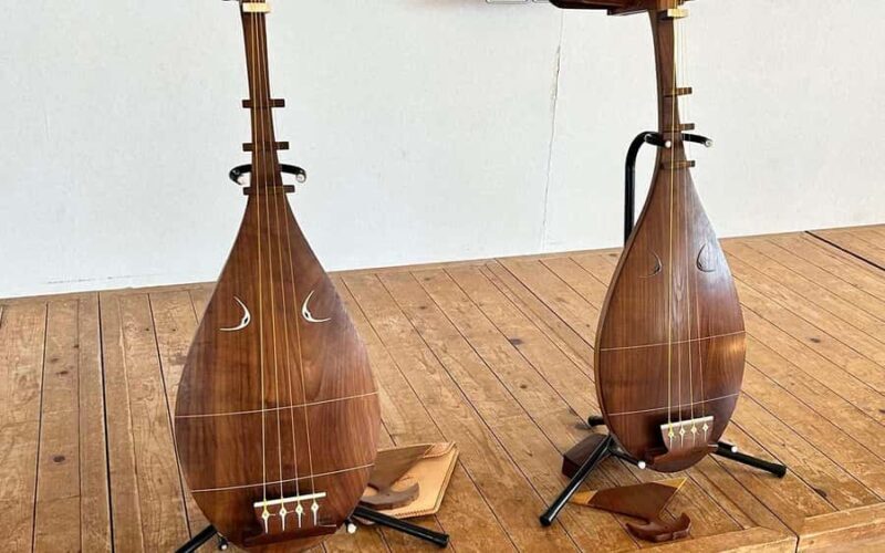 Yamato: Satsuma Biwa Music Playing Experience - Who Should Consider This Tour?