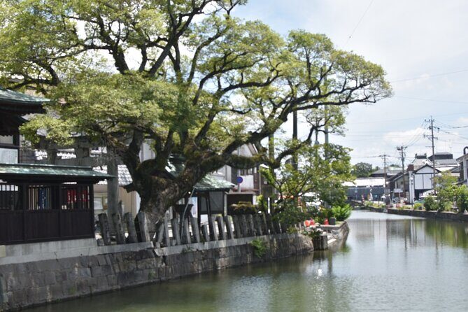Yanagawa & Dazaifu Cultural Explorer  Cruise-Friendly Tour - Final Thoughts