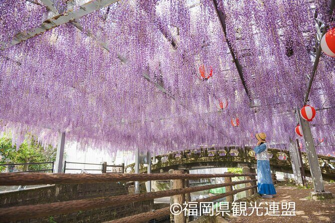 Yanagawa Great Wisteria and Traditional Canal Boat Experience - FAQ