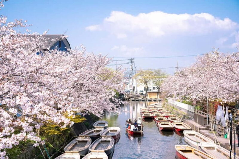 Yanagawa: Original Boat Tour - An In-Depth Look at Yanagawa’s Original Boat Tour
