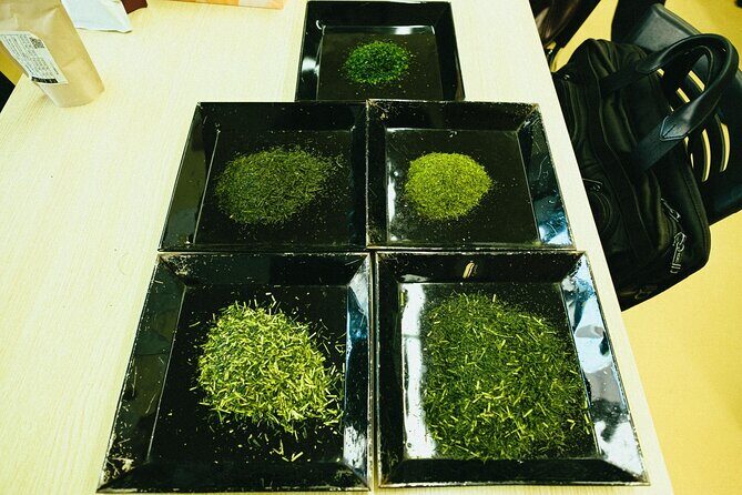 Yanagawa River Cruise and Yame Tea Fukuoka Private Tour - Who Will Love This Tour?