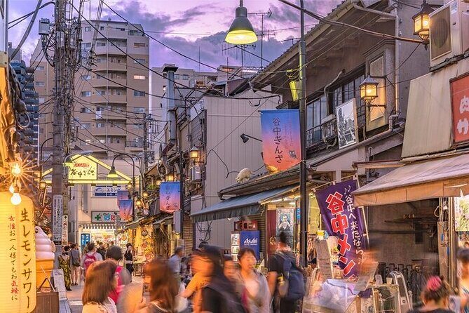 Yanaka and Nezu Walking Tour Discover the Edo Spirit - The Itinerary in Detail