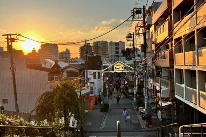 Yanaka and Nezu Walking Tour Discover the Edo Spirit - The Sum Up