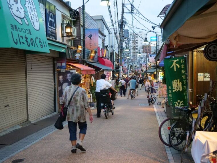 yanaka-district-historical-walking-tour-in-tokyos-old-town