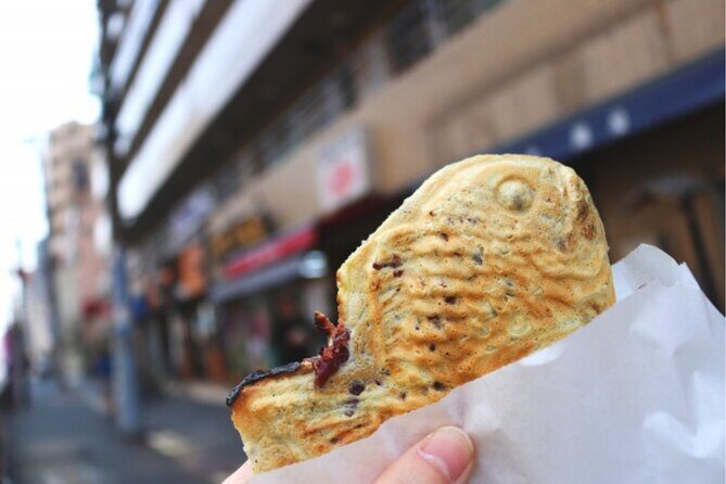 Yanaka & Ueno Tokyo's Old Town Charm - Temple, market,Retro Vibes - Key Points