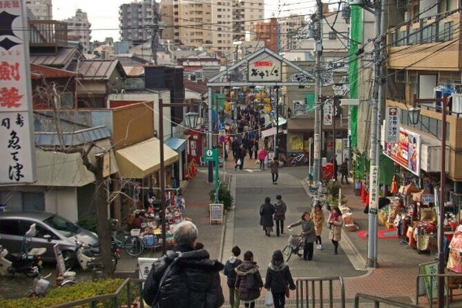 Yanaka & Ueno Tokyo's Old Town Charm - Temple, market,Retro Vibes - Who Should Consider This Tour?