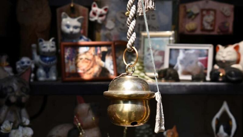 Yanaka & Ueno: Walking Tour of Tokyo Tradition & Culture - Key Points