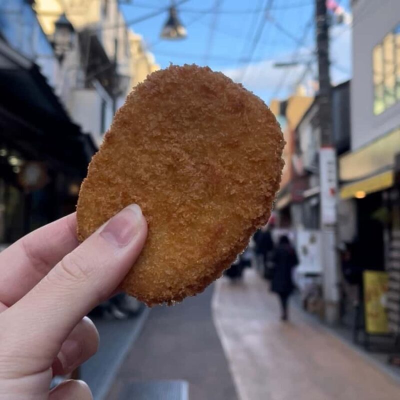 Yanaka's Hidden Flavors: Tokyo's Historic Gourmet District - Key Points