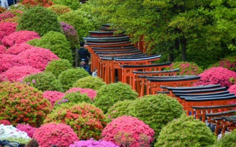 Yanaka's Hidden Flavors: Tokyo's Historic Gourmet District - The Sum Up