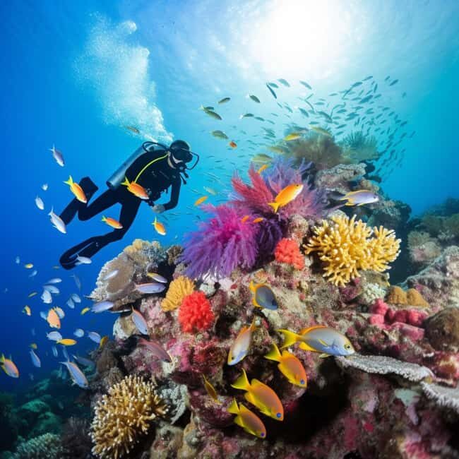 Yanbu: Beach Diving Experience with Instructor - Exploring the Yanbu Beach Diving Experience