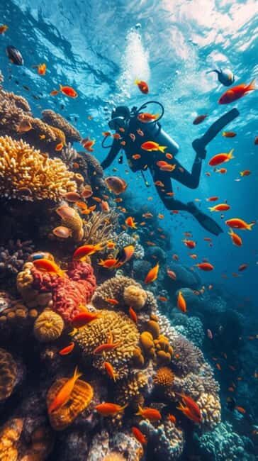 Yanbu: Beach Diving Experience with Instructor - The Itinerary in Detail