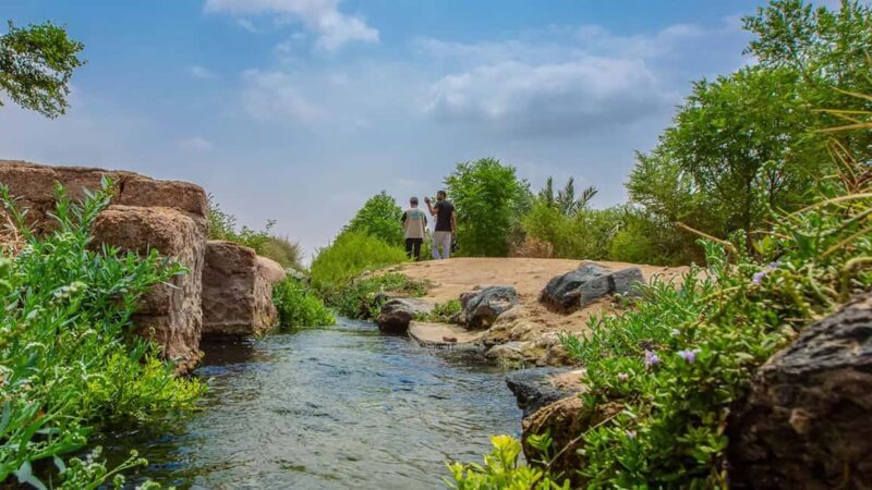 Yanbu: Guided Tour in The City of Springs - Key Points