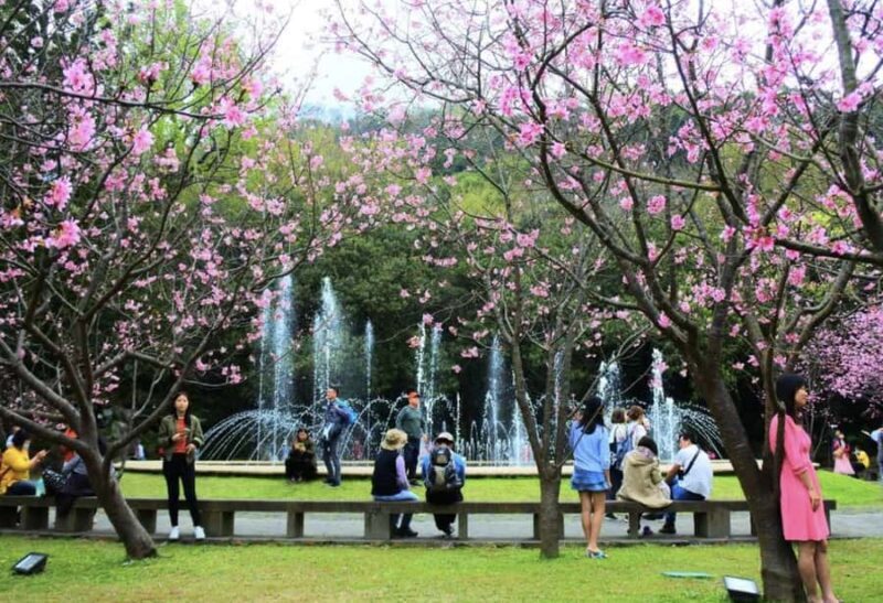 Yangmingshan & Beitou Geothermal Wonders Day Tour - Key Points