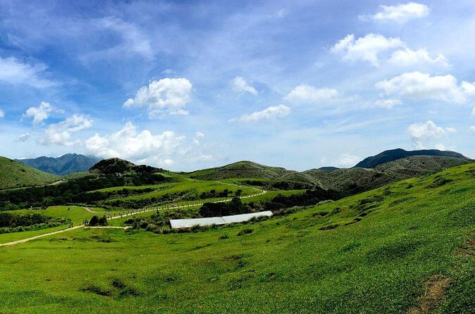 Yangmingshan Half Day Tour in Taipei - Who Should Consider This Tour?