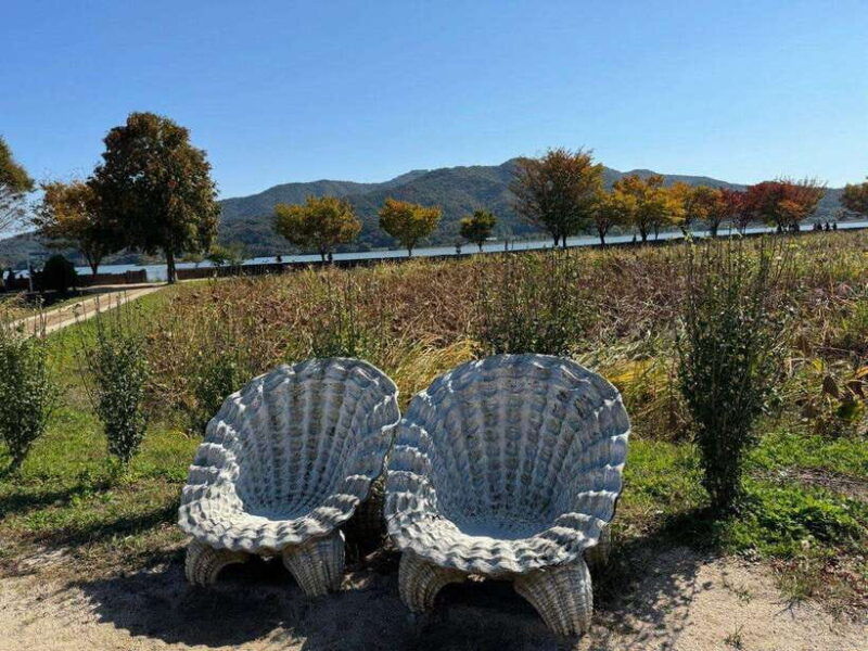 yangpyeong-day-tripnature-art-cafe-in-yangpyeong