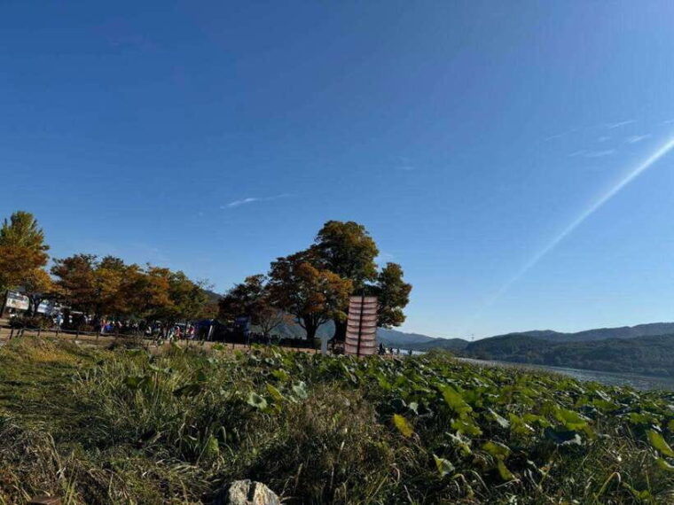 yangpyeong-day-tripnature-art-cafe-in-yangpyeong