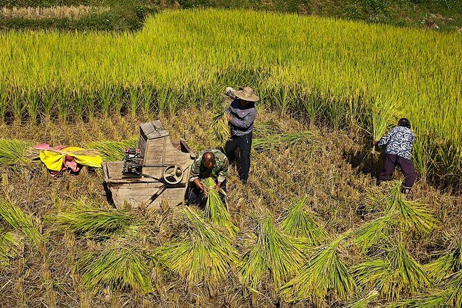 Yangshuo Highlights Li River Cruise and Biking Along Yulong River - Key Points