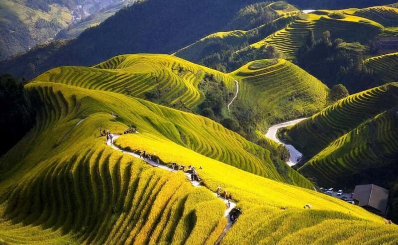Yangshuo: Longji Terraces & Long Hair Village Private Tour - What Travelers Should Know