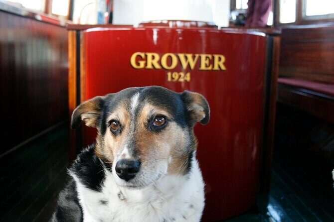 Yarra River 1 Hour Scenic Cruise with Commentary - The Experience from the Traveler’s Perspective