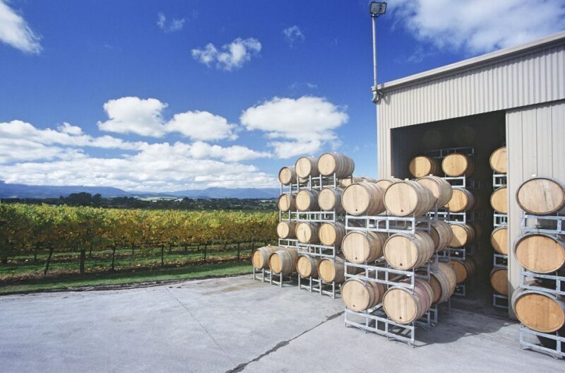 Yarra Valley and Dandenong Ranges: Scenic Bus Tour and Lunch - Key Points