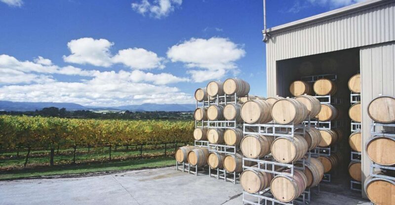 Yarra Valley and Dandenong Ranges: Scenic Bus Tour and Lunch - Exploring the Scenic and Gourmet Highlights